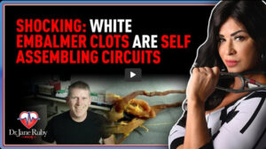 SelfAssemblingCircuits SelfAssemblingCircuits
